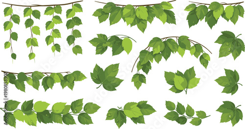 Green Leaf Branch and Vine Vector Collection with Realistic Foliage Elements for Nature Backgrounds, Ecology Environmental Projects, Garden Botanical Decorations, and Summer Spring Floral Design