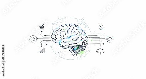 Brain Connectivity - A Visual Representation of Neural Networks and Cognitive Functions.