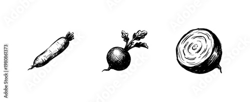 Root Vegetable and Fresh Radish Harvest Collection with Hand-Drawn Inky Doodle and Organic Sketchy Textures
