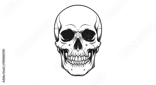 Halloween skull vector illustration with sinister grin and dark eye sockets