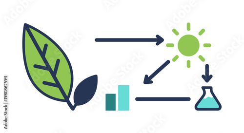 Scientific Experiment on Leaf with Sunlight Bar Chart and Flask