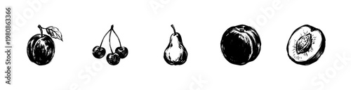 Stone Fruit and Orchard Harvest Elements including Plums and Apricots with Inky Doodle and Hand-Drawn Sketchy Style.