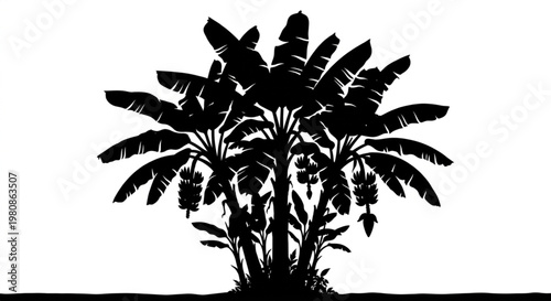 Tropical Banana Tree Silhouette with Leaves and Fruit Bunch