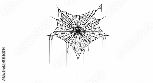 Artistic rendering of a detailed, drooping spiderweb with flowing strands