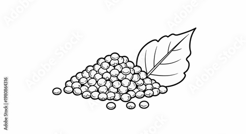 Black and white illustration of a pile of berries and a leaf