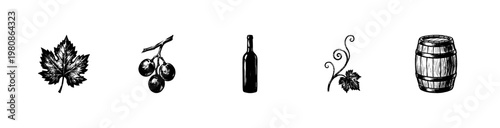 Grape Vineyards and Wine Harvest Elements with Hand-Drawn Inky Doodle and Calligraphic Ink Strokes