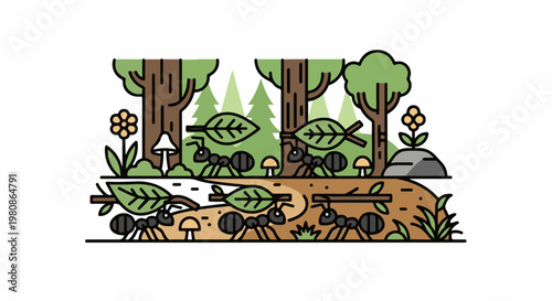 Ants carry leaves and sticks through a forest floor and tunnel
