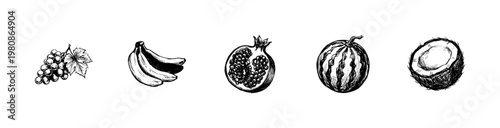 Fresh Organic Fruits and Tropical Botanical Elements with Hand-Drawn Inky Doodle and Fluid Calligraphic Outlines