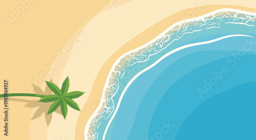 Aerial view of a serene beach with a palm tree and gentle ocean waves