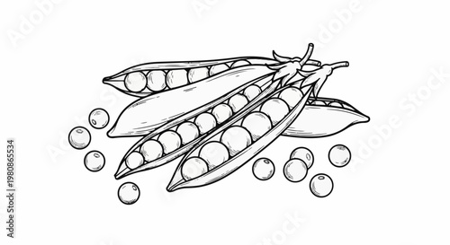 Black and white illustration of opened pea pods with scattered peas