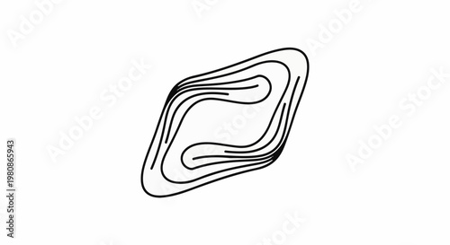 Abstract organic shape with flowing, layered lines and smooth curves