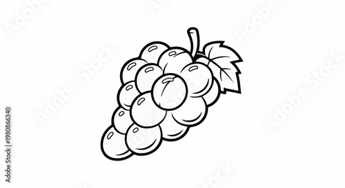 Black and white line art illustration of a bunch of grapes with a single leaf
