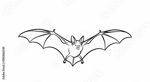 Black and white line art of a bat with wings spread wide