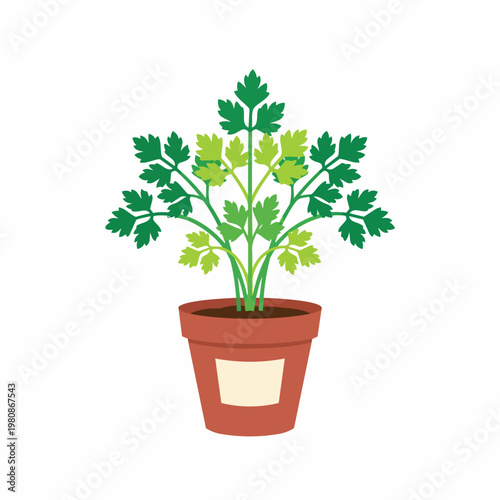 Fresh green parsley plant growing in a terracotta pot with a blank label for text.