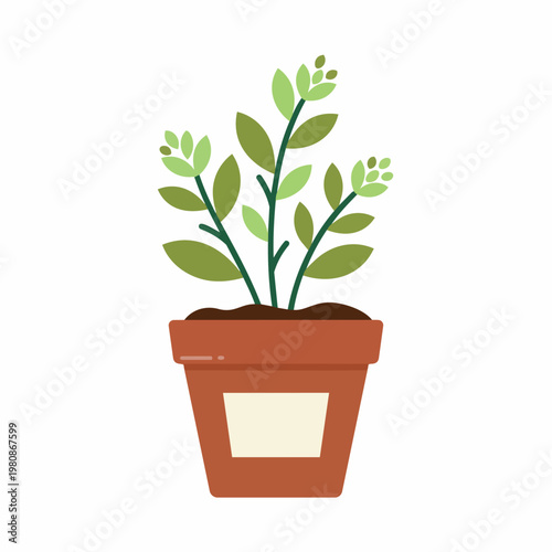 Small potted plant with green leaves and tiny buds in brown pot with beige label.