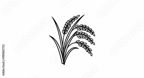Black and white line drawing of rice stalks with leaves on a white background