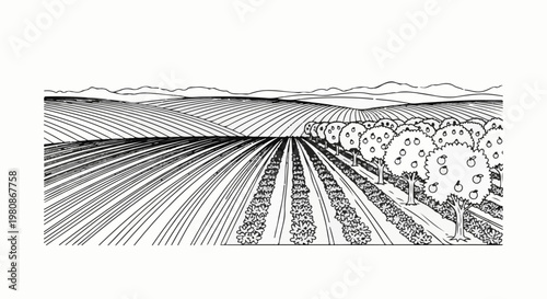 Black and white line drawing of rolling hills with cultivated fields and an apple orchard