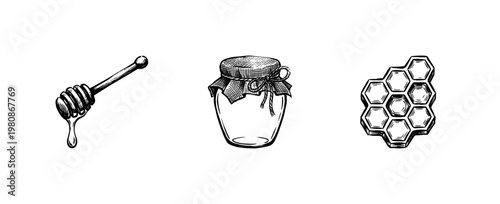 Honey Production and Beekeeping Elements with Hand-Drawn Inky Doodle and Organic Textures