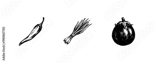 Fresh Culinary Vegetables and Kitchen Ingredients with Textured Engraving Style and Hand-Drawn Organic Aesthetic