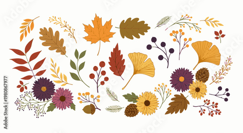 Autumnal elements including various leaves, flowers, berries, and pinecones