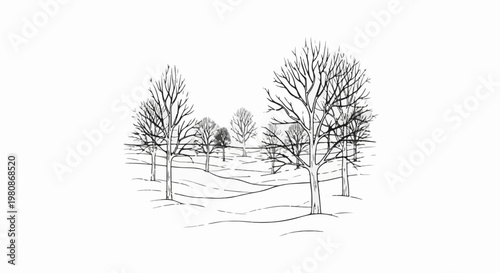 Bare trees with delicate branches create a wintery scene on rolling snow-covered ground
