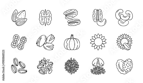 A set of black and white line art illustrations of various nuts and seeds