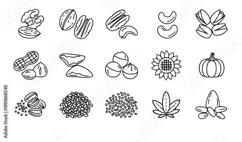 A set of black and white line art illustrations of various nuts and seeds