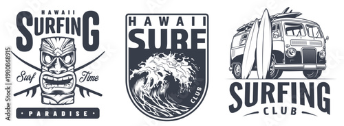 Surfing in Hawaii with friends