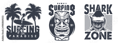 People are surfing in Hawaii