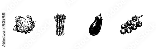 Vegetables and Healthy Garden Produce with Inky Hand-Drawn Brush Strokes in Fluid Sketchy Style
