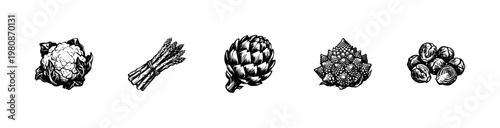 Healthy Green Vegetables and Edible Brassica Plants with Inky Hand-Drawn Doodle and Organic Textures