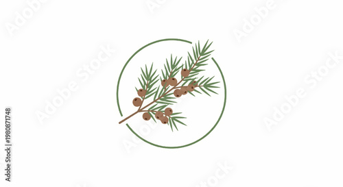 Artistic illustration of a sprig with small berries in a circle