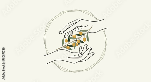 Artistic minimalist illustration of hands presenting an olive branch