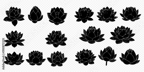 Set of beautiful black lotus flower silhouettes, blooming water lily symbols for design elements.