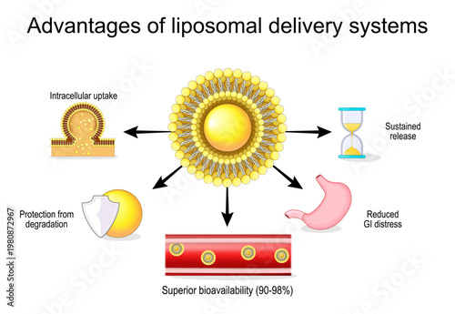 Benefits of liposomal vitamin. Advantages of liposomal delivery systems. Bioavailability of vitamins, minerals, pharmaceuticals, and dietary supplements.