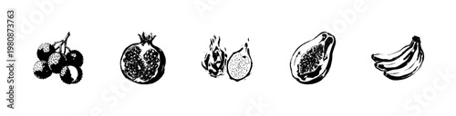 Tropical and Exotic Fruits Collection with Hand-Drawn Inky Doodle and Fluid Sketchy Outlines