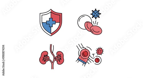Immune System Line art vector simple color shapes illustration