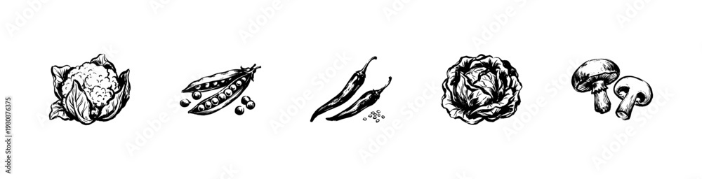 Obraz premium Vegetable and Garden Produce Food Labels with Fluid Engraving Style and Hand-Drawn Sketchy Style