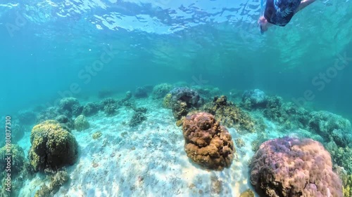 Woman enjoying a tropical underwater snorkeling experience, exploring the clear turquoise ocean water and diverse marine life near Snake Island, El Nido, Philippines in Palawan island