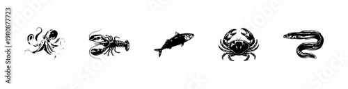 Marine Fish and Seafood Illustrations with Hand-Drawn Inky Doodle and Calligraphic Pen Doodle Style