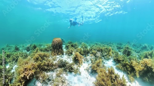 Woman snorkeling with a full-face mask over vibrant coral reef and sponge in El Nido, Palawan waters, enjoying a tranquil tropical underwater exploration and marine life viewing in Philippines islands