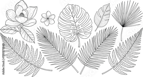 Tropical Leaf and Flower Collection Featuring Hand Drawn Sketches of Monstera Palm Fern and Magnolia Blossoms for Botanical Wedding Invitations and Summer Designs