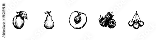 Garden Fruit and Orchard Harvest Elements with Hand-Drawn Ink Hatching and Detailed Woodcut Engraving Style Doodle