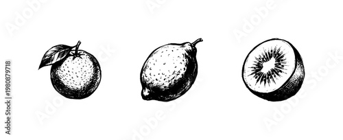 Fresh Healthy Fruits and Tropical Summer Produce with Fluid Engraving Style and Hand-Drawn Sketchy Aesthetic