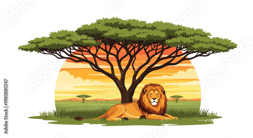 lat style illustration of lion resting under acacia tree in African savanna with warm sunset sky, representing wildlife beauty, nature, and safari adventure theme