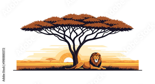 lat style illustration of lion resting under acacia tree in African savanna with warm sunset sky, representing wildlife beauty, nature, and safari adventure theme