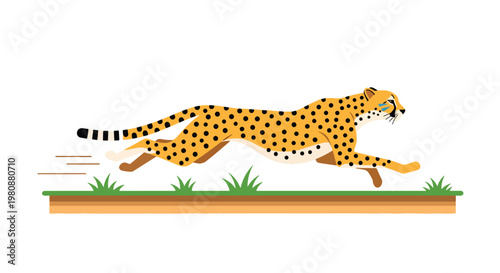 Flat style illustration of cheetah running across savanna with dynamic motion and grassland background, symbolizing speed, power, and wild safari adventure
