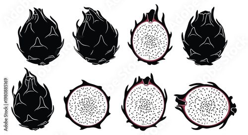 A collection of dragon fruit illustrations showcasing both exterior and cross sectional views in stark contrast silhouette high quality professional detailed modern