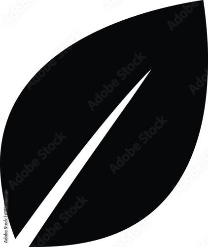 Black leaf silhouette with white vein on white background