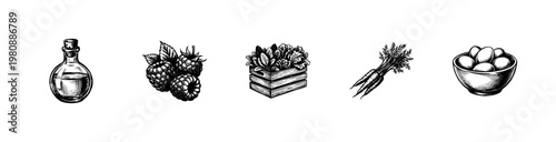 Organic Farm Produce and Healthy Food Elements with Fluid Engraving Style and Hand-Drawn Inky Aesthetic